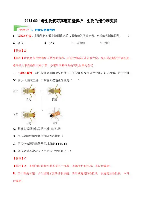 2024年中考生物复习真题汇编解析—生物的遗传和变异