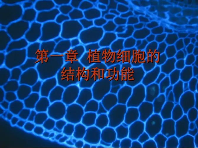 01-第一章-植物细胞的结构和功能-植物生理学