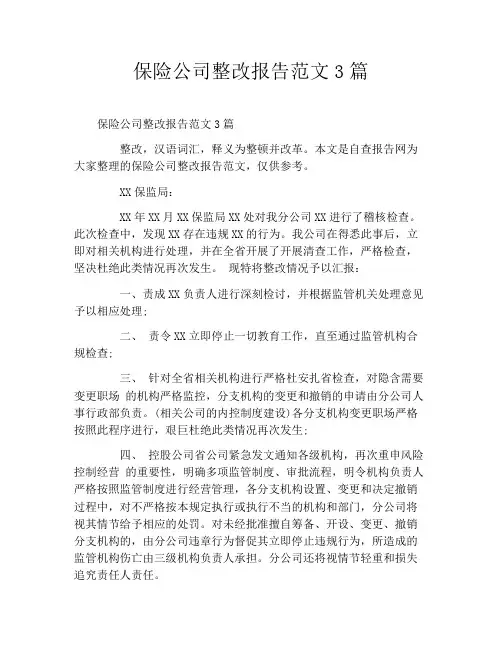 保险公司整改报告范文3篇