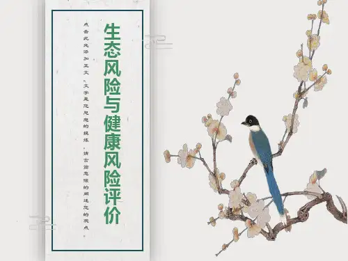 生态风险与健康风险评价