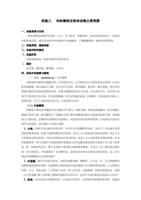 实验二蛔虫、蚯蚓、河蚌外形观察与解剖