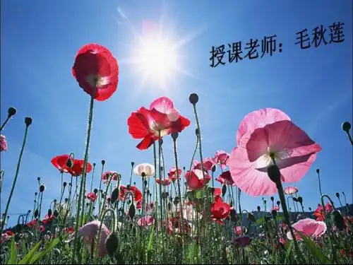 王二小课件