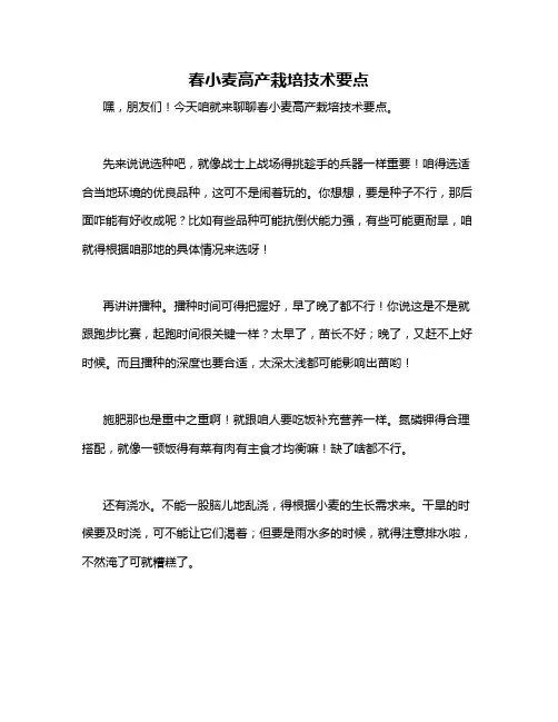 春小麦高产栽培技术要点