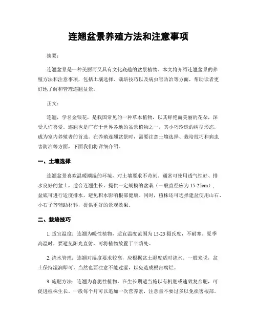 连翘盆景养殖方法和注意事项