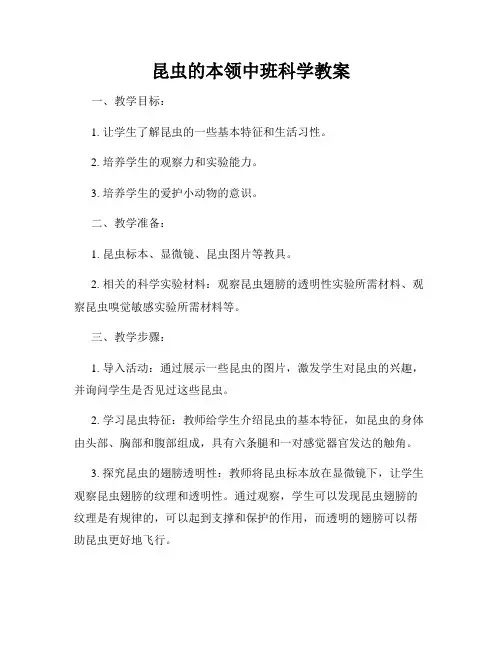 昆虫的本领中班科学教案