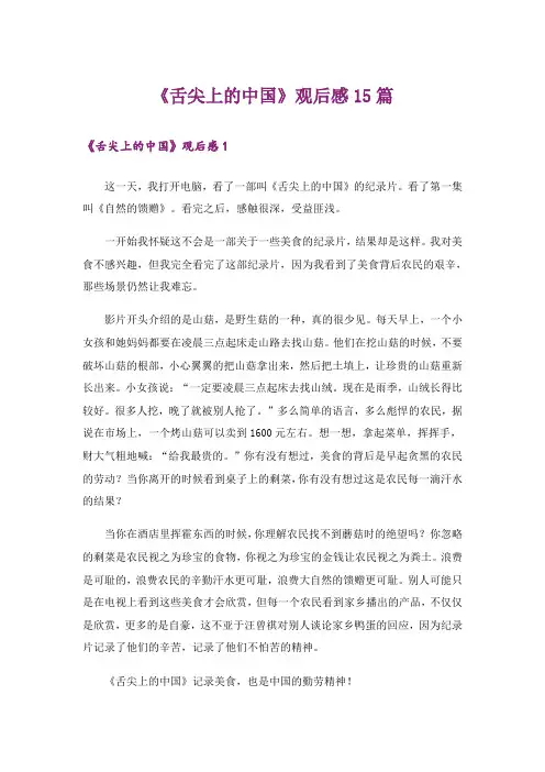 《舌尖上的中国》观后感15篇