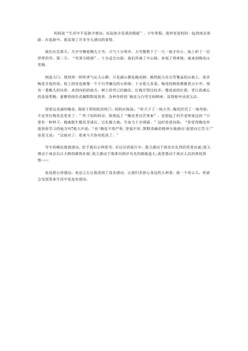 旅行途中的感动作文500字