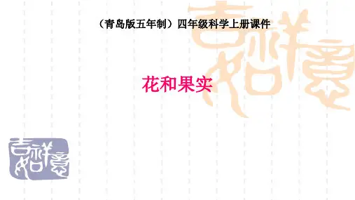 青岛版五年制科学四年级上册《花和果实》PPT课件