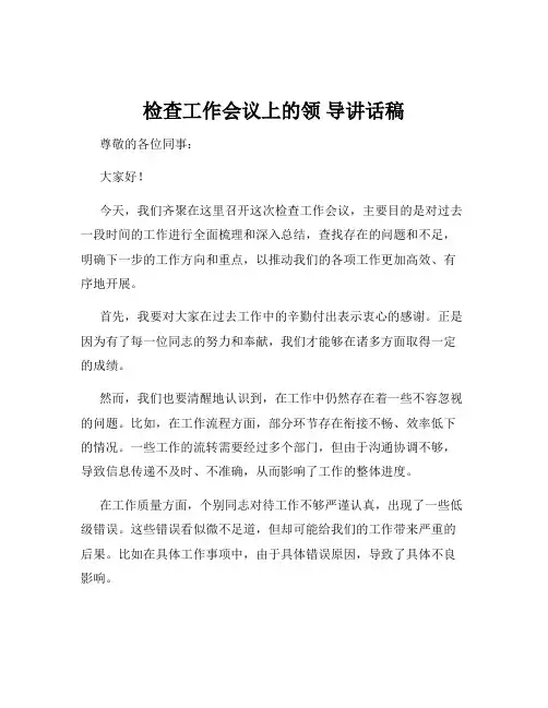 检查工作会议上的领 导讲话稿