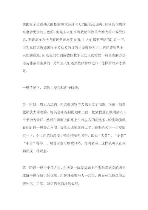 德国牧羊犬幼犬该如何驯养