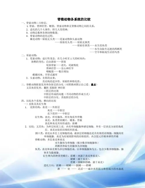 脊椎动物的比较解剖