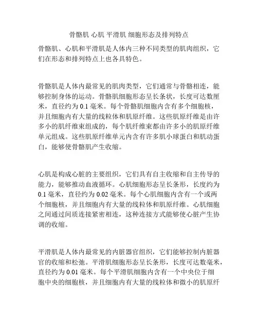 骨骼肌 心肌 平滑肌 细胞形态及排列特点