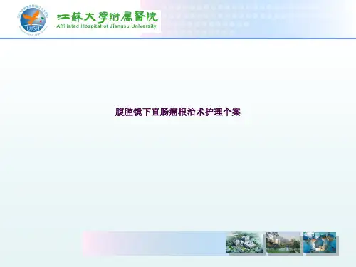 腹腔镜下直肠癌根治术护理个案ppt课件