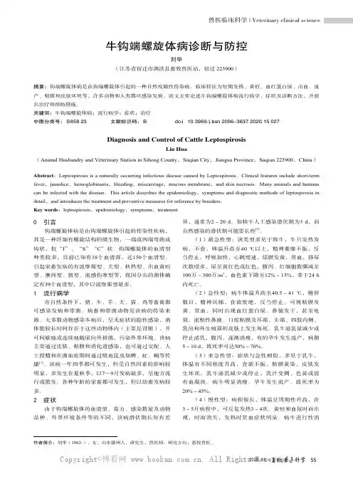牛钩端螺旋体病诊断与防控