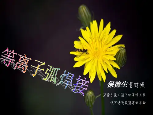 等离子弧焊接