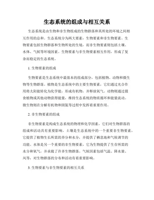 生态系统的组成与相互关系
