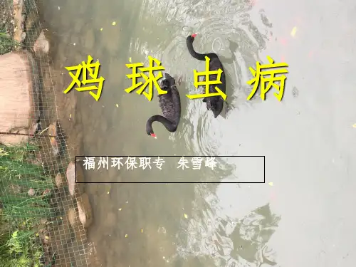 第一节 鸡球虫病PPT课件