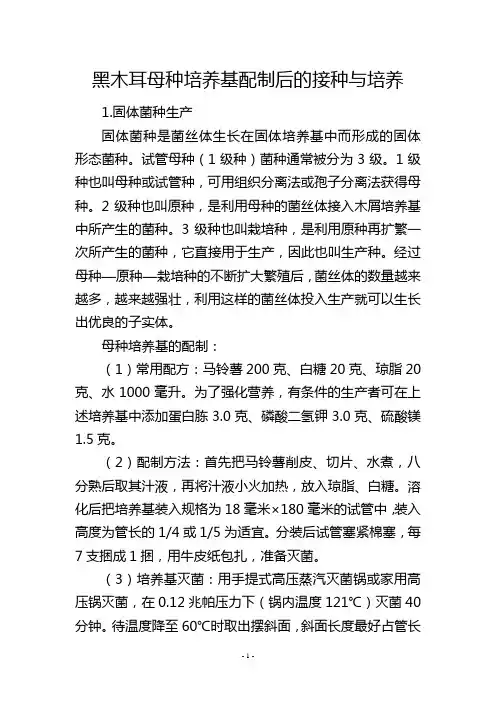 黑木耳母种培养基配制后的接种与培养