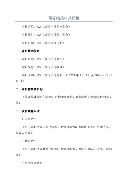 预算绩效申报模板