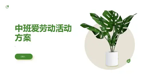 中班爱劳动活动方案