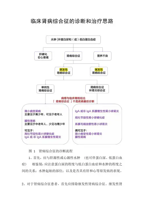 临床肾病综合征的诊断和治疗思路