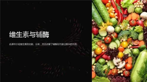 生物化学课件-维生素与辅酶