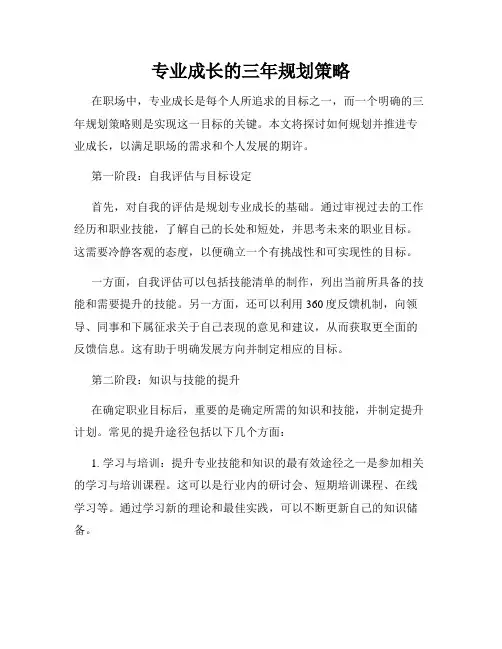专业成长的三年规划策略