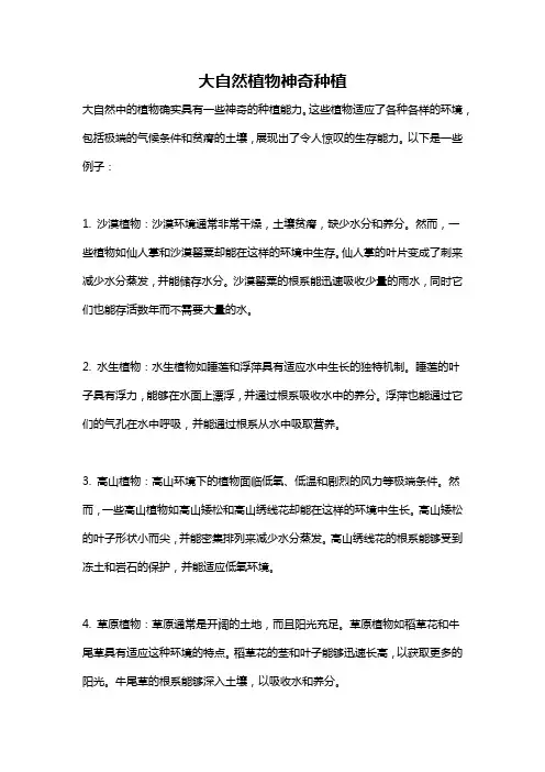 大自然植物神奇种植
