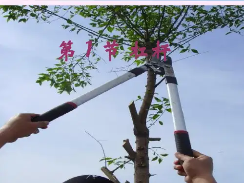 京改版初中物理八年级全一册杠杆 课件