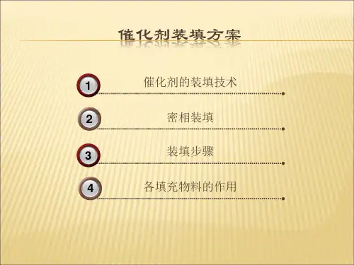 催化剂的装填..