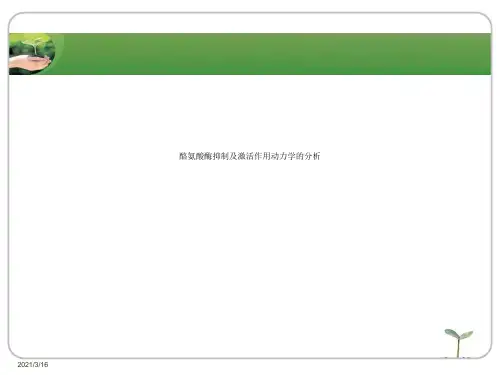 酪氨酸酶抑制及激活作用动力学的分析.ppt