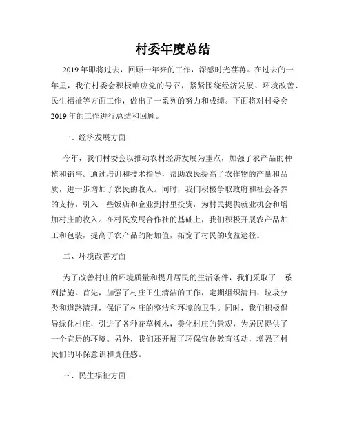 村委年度总结