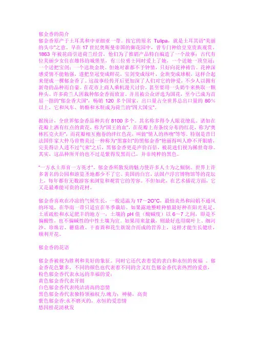 郁金香的简介