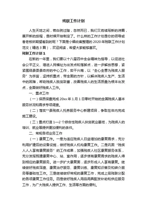 残联工作计划