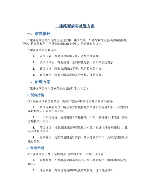 二建路面病害处置方案