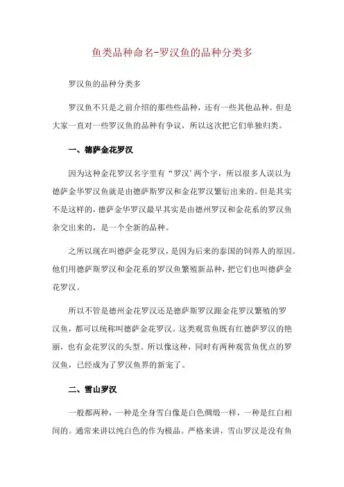 鱼类品种命名-罗汉鱼的品种分类多