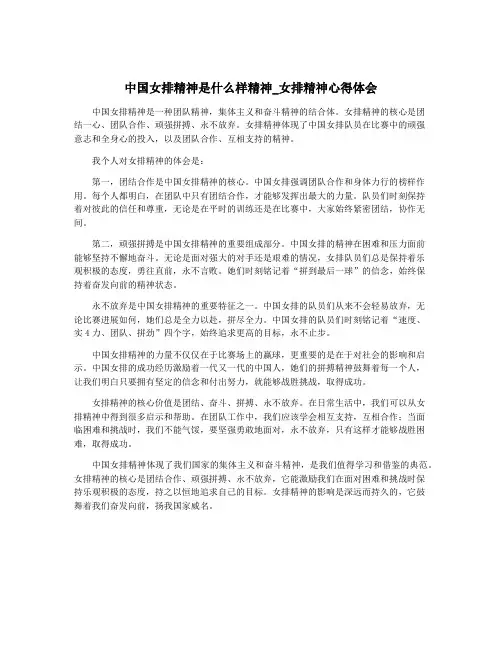 中国女排精神是什么样精神_女排精神心得体会