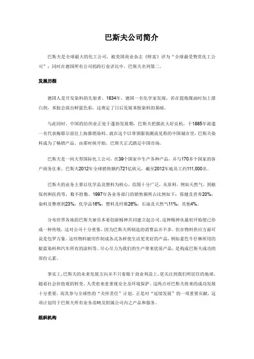 巴斯夫公司简介
