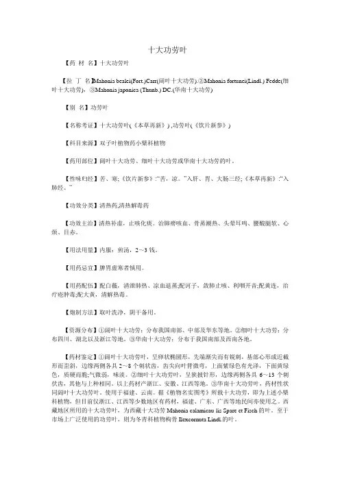 十大功劳叶
