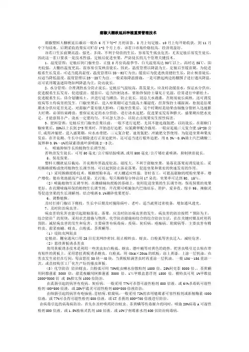 甜椒大棚秋延后种植重要管理技术