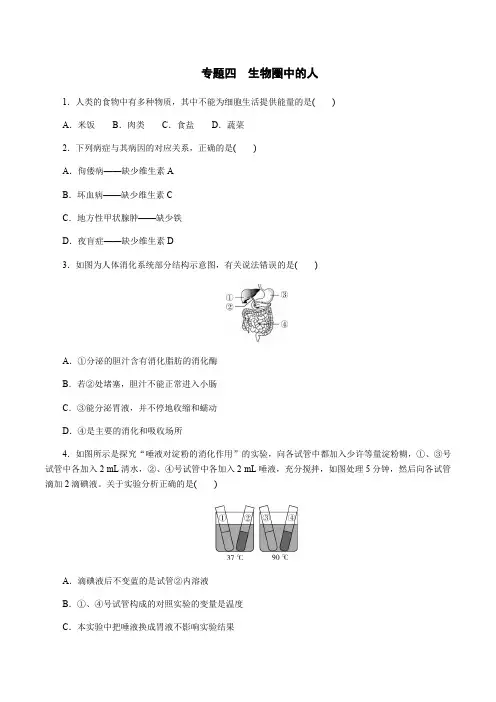 专题四 生物圈中的人 专题训练 2021年广东生物中考复习