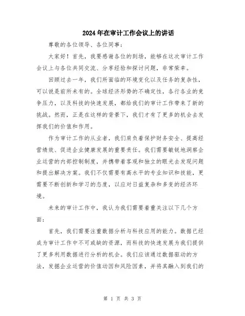 2024年在审计工作会议上的讲话