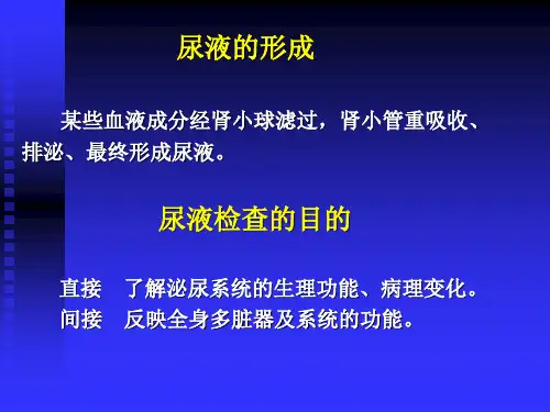 尿液检查ppt