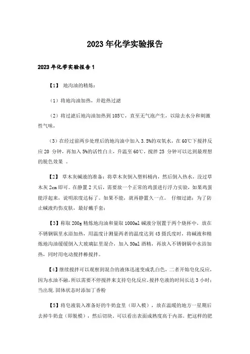 2023年化学实验报告_4