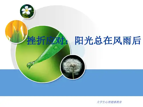 大学生心理健康教育课件-挫折应对：阳光总在风雨后