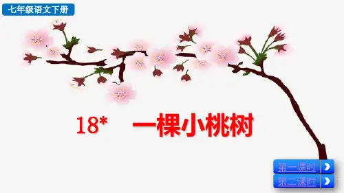人教部编七年级语文下册第五单元《一棵小桃树》PPT课件