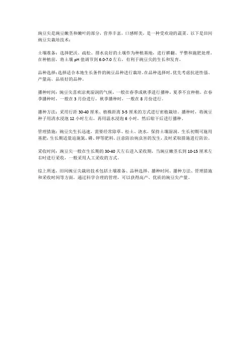 田间豌豆尖栽培技术