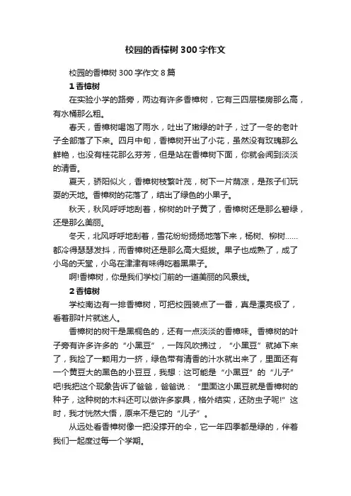 校园的香樟树300字作文8篇