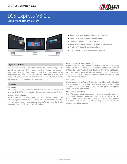 达华DSS表达V8.1.1视频管理系统用户手册说明书