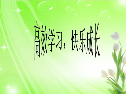 高效学习,快乐成长主题班会PPT课件